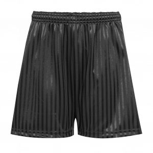 Shadow Stripe Shorts