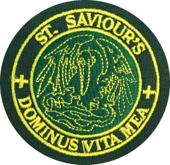 St SAVIOURS CofE PRIMARY SCHOOL