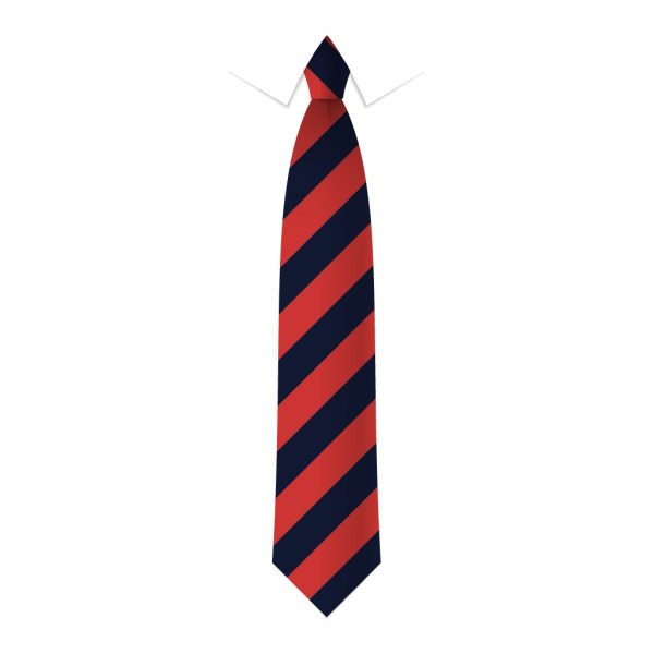 24 x Navy & Red Block Stripe Ties - Schools, Commercial, Fancy Dress, Hen & Stag Do