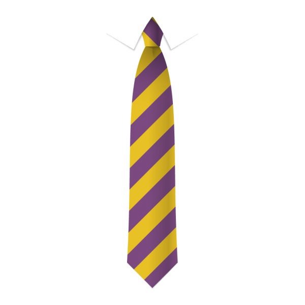 24 x Purple & Gold Block Stripe Ties - Schools, Commercial, Fancy Dress, Hen & Stag Do