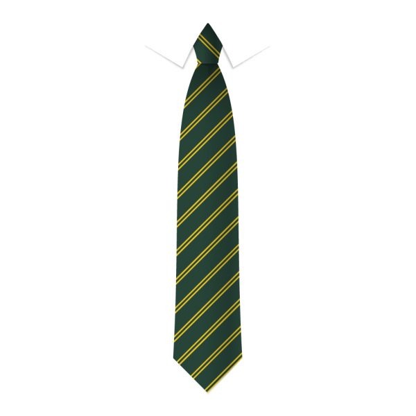 24 x Green & Gold Double Stripe Ties - Schools, Commercial, Fancy Dress, Hen & Stag Do