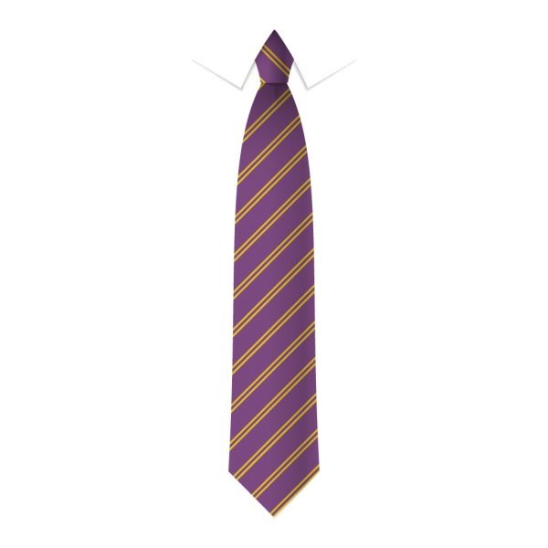 24 x Purple & Gold Double Stripe Ties - Schools, Commercial, Fancy Dress, Hen & Stag Do
