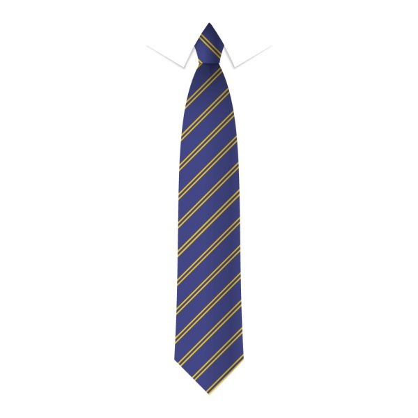 24 x Royal Blue & Gold Double Stripe Ties - Schools, Commercial, Fancy Dress, Hen & Stag Do