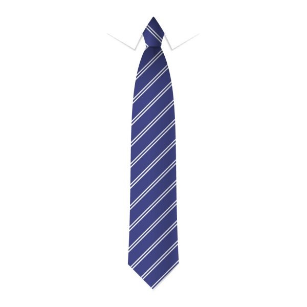 24 x Royal Blue & White Double Stripe Ties - Schools, Commercial, Fancy Dress, Hen & Stag Do