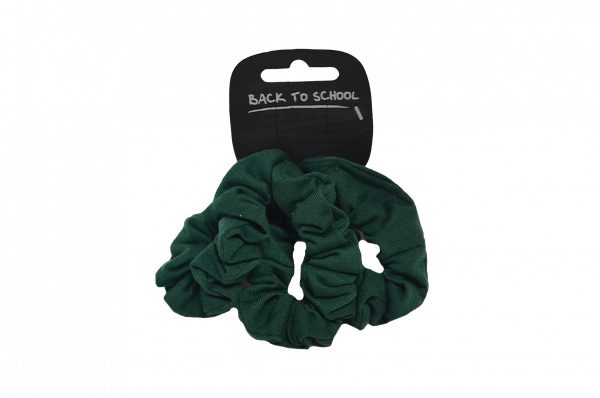 Velvet Scrunchies