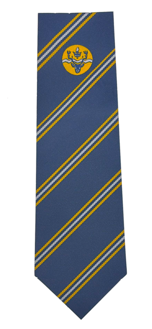 YEAR 7 Chingford Foundation School Tie